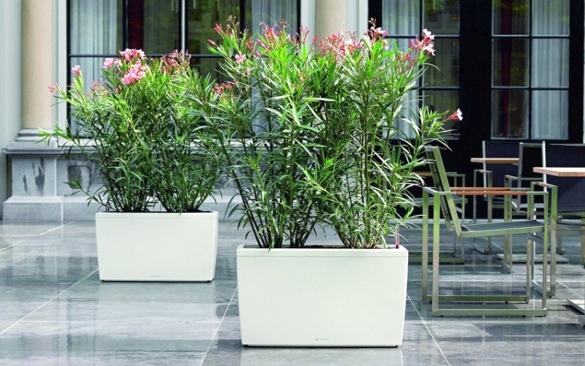 białe donice na tarasie